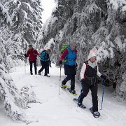 032  mit Schneeschuhen : Faschingswanderung, Hochschlag, Hofbauerhütte